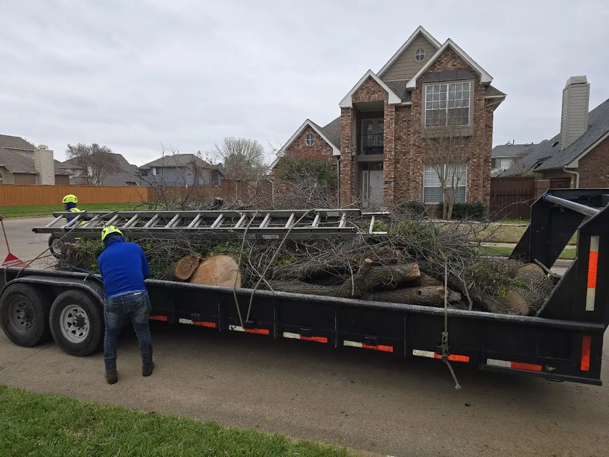 Expert Tree Pest Control with proper safety equipment in Morgantown